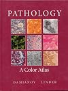 Pathology: A Color Atlas