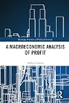 A macroeconomic analysis of profit