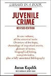 Juvenile Crime (Library in a Book)