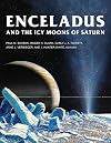 Enceladus and the Icy Moons of Saturn (Space Science Series)
