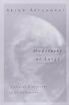 Modernity at Large: Cultural Dimensions of Globalization