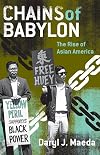 Chains of Babylon: The Rise of Asian America (Critical American Studies)
