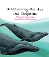Discovering Whales & Dolphins
