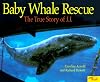 Baby Whale Rescue: The True Story of J.J.