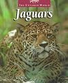 Jaguars