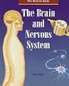 The Brain and Nervous System (Human Body)
