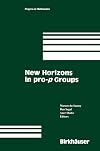 New Horizons in pro-p Groups