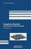 Caught by disorder : bound states in random media