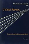 Cultural Memory: Essays on European Literature and History