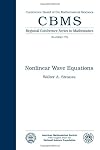 Nonlinear Wave Equations