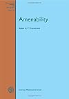 Amenability