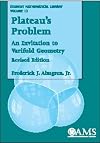Plateau's Problem: An Invitation to Varifold Geometry