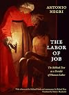 The Labor of Job: The Biblical Text as a Parable of Human Labor (New Slant: Religion, Politics, Ontology)