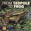 From Tadpole to Frog (Start to Finish: First Series)