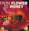 From Flower to Honey (Start to Finish: First Series)