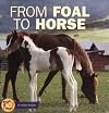 From Foal to Horse (Start to Finish: First Series)