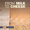 From Milk to Cheese (Start to Finish: First Series)