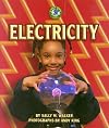 Electricity (Early Bird Energy)