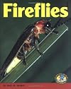 Fireflies (Early Bird Nature Books)