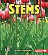 Stems (First Step Nonfiction: Parts of Plants)