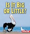 Is it Big or Little? (First Step Nonfiction: Properties of Matter)