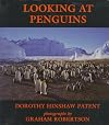 Looking at Penguins