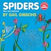 Spiders