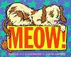 Meow!