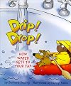 Drip! Drop!: How Water Gets to Your Tap