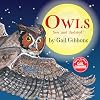 Owls