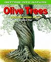 Olive Trees: Inside and Out (Getting Into Nature)