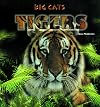 Tigers (Big Cats)