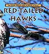 Red-Tailed Hawks (Really Wild Life of Birds of Prey)