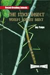 The Stick Insect: World's Longest Insect (Reading Power: Record-Breaking Animals)