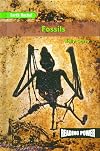 Fossils (Reading Power: Earth Rocks!)
