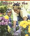 What's in the Garden?: Learning to Compare Two Sets of Objects (Math for the Real World: Early Emergent)