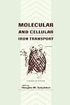 Molecular and Cellular Iron Transport