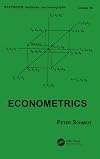 Econometrics (Statistics: Textbooks & Monographs)