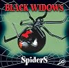 Black Widows (Discovery Library: Spiders)