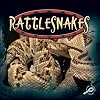 Rattlesnakes (Amazing Snakes Discovery Library)