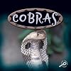 Cobras (Amazing Snakes)
