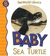 Baby Sea Turtle San Diego Zoo (Seaworld Library)