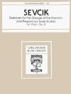 EXERCISES FOR THE CHANGE OF THE POSITIONS VIOLON