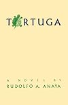 Tortuga: A Novel
