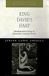 King David's harp : autobiographical essays by Jewish Latin American writers