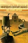 Everyday Life and Politics in Nineteenth Century Mexico : Men, Women, and War