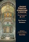 The Twelve Prophets (Ancient Christian Commentary on Scripture: Old Testament, Volume XIV)