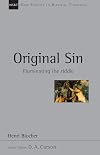 Original Sin: Illuminating the Riddle (New Studies in Biblical Theology)