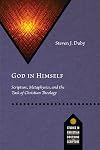 God in Himself: Scripture, Metaphysics, and the Task of Christian Theology (Studies in Christian Doctrine and Scripture)