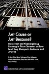 Just Cause or Just Because?: Prosecution And Plea-bargaining Resulting In Prison Sentences On Low-level Drug Charges In